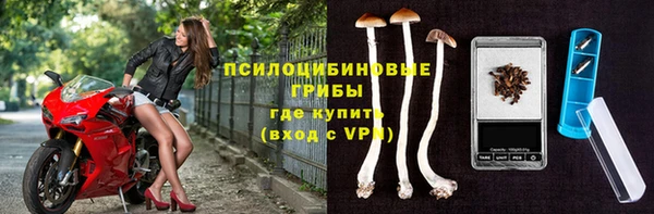 мяу мяу мука Вуктыл